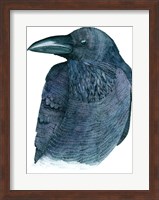 Raven Fine Art Print