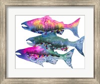 Salmon Season Fine Art Print