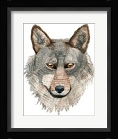Wolf Fine Art Print