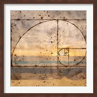 Fibonacci Shell Fine Art Print