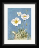 White Poppies I Framed Print