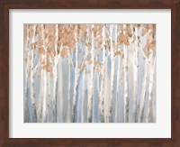Fall Birches Fine Art Print