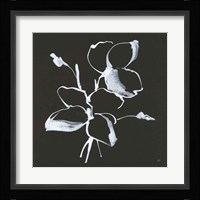 Wildflowers IV Fine Art Print