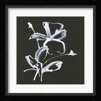 Wildflowers II Framed Print