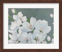 Spring Apple Blossoms Fine Art Print