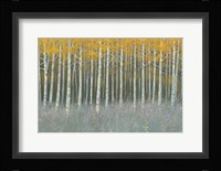 Forest Dusk Fine Art Print