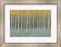 Forest Dusk Fine Art Print