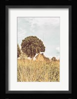 Grass and Sky Light Fine Art Print