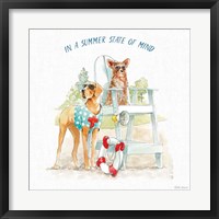 Summer Fun IV Framed Print