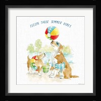Summer Fun II Framed Print
