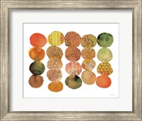 Fall Circle Stories II Horizontal Fine Art Print