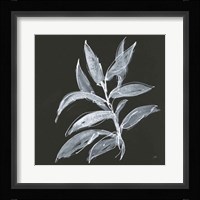 Branch IV Framed Print