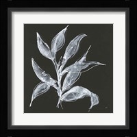 Branch III Framed Print