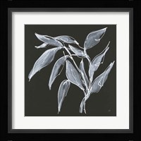 Branch II Framed Print