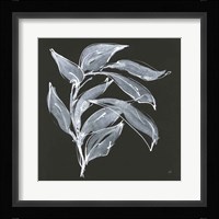 Branch I Fine Art Print