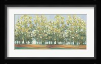 Aspen Grove III Fine Art Print