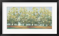 Aspen Grove III Fine Art Print