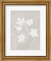 Botanical Study III Neutral Crop Fine Art Print