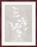 Botanical Study II Neutral Crop Fine Art Print