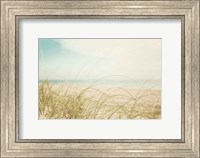 Beach Grass V Light Fine Art Print