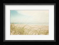 Beach Grass V Light Fine Art Print