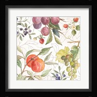 In the Orchard VIII Fine Art Print