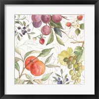 In the Orchard VIII Framed Print