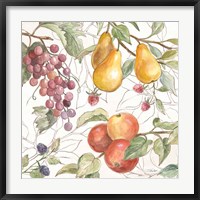 In the Orchard VII Fine Art Print