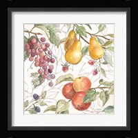 In the Orchard VII Fine Art Print
