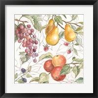 In the Orchard VII Fine Art Print