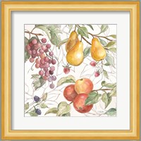 In the Orchard VII Fine Art Print