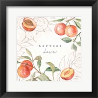 In the Orchard V Fine Art Print