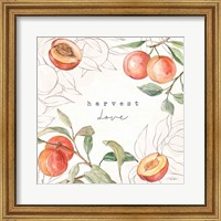 In the Orchard V Fine Art Print