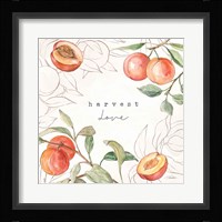 In the Orchard V Framed Print