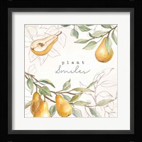 In the Orchard III Framed Print