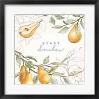 In the Orchard III Framed Print