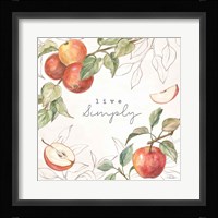 In the Orchard II Framed Print