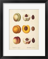 Peaches I Framed Print