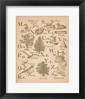 Vintage Alphabet II Framed Print