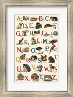 Schoolhouse Alphabet Fine Art Print