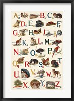 Schoolhouse Alphabet Fine Art Print
