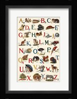 Schoolhouse Alphabet Fine Art Print