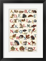 Schoolhouse Alphabet Framed Print