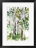 Birch Forest II Fine Art Print