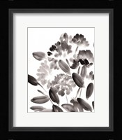 Simple Black Peonies II Framed Print