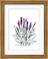 Lavender Fine Art Print