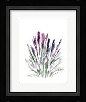 Lavender Fine Art Print
