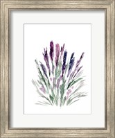 Lavender Fine Art Print