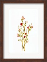 Golden Pink Blossoms Fine Art Print