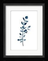 Farmhouse Eucalyptus blue Fine Art Print